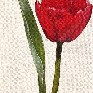 Tulip and Bud Oil on Panel - 6x12 is inches