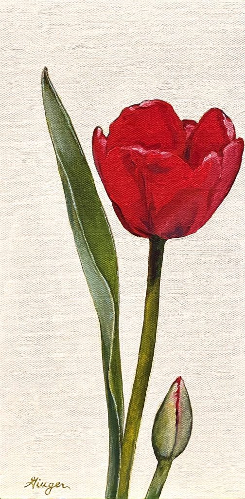 Tulip and Bud Oil on Panel - 6x12 is inches