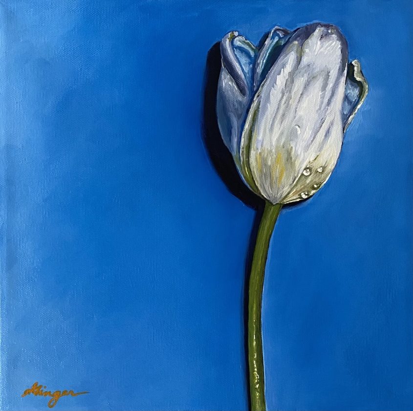 White Tulip Oil on Canvas - 12x12 inches